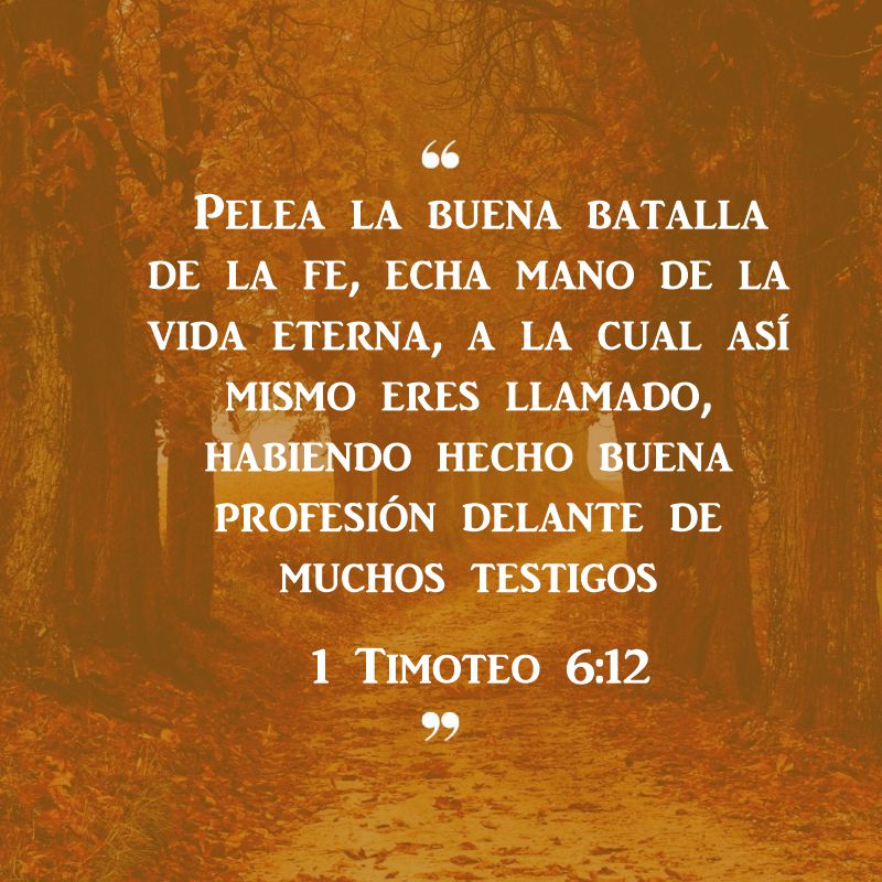 1 Timoteo 6:12