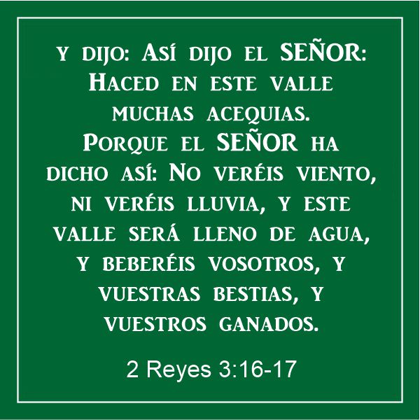 2 Reyes 3:16-17