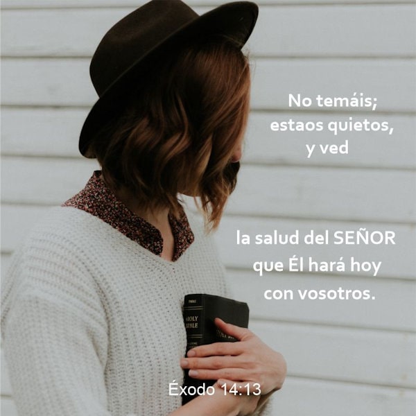 Éxodo 14:13