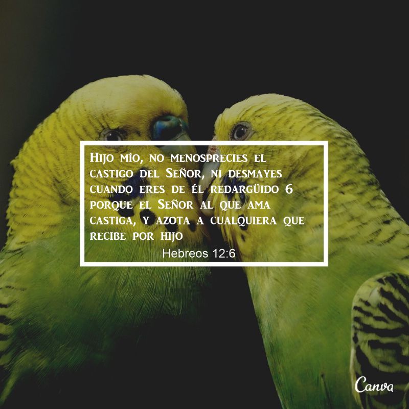 Hebreus 12:6