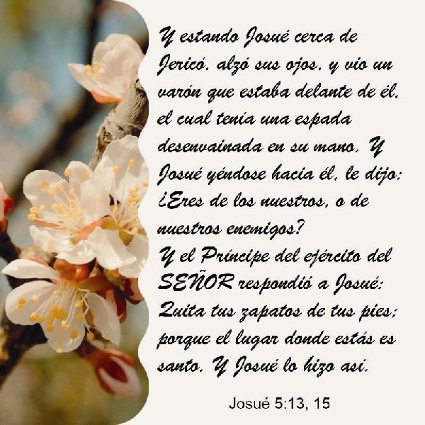 Josué 5:13 y 15