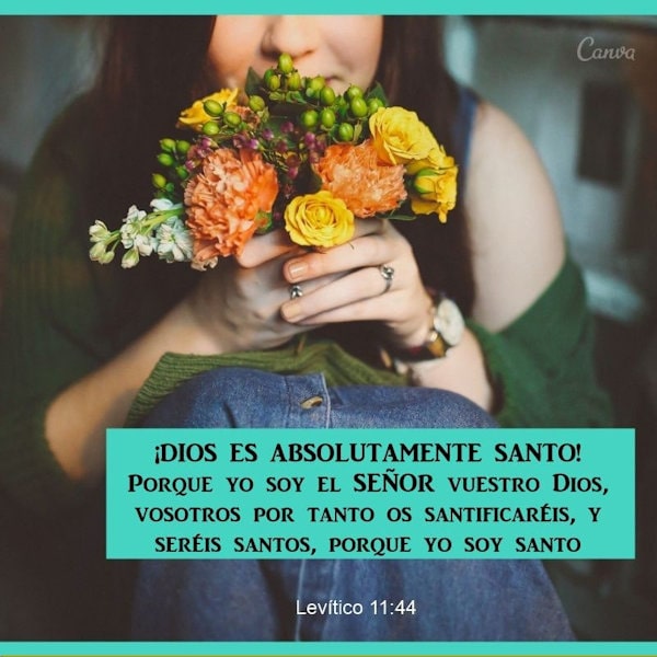 Levítico 11:44