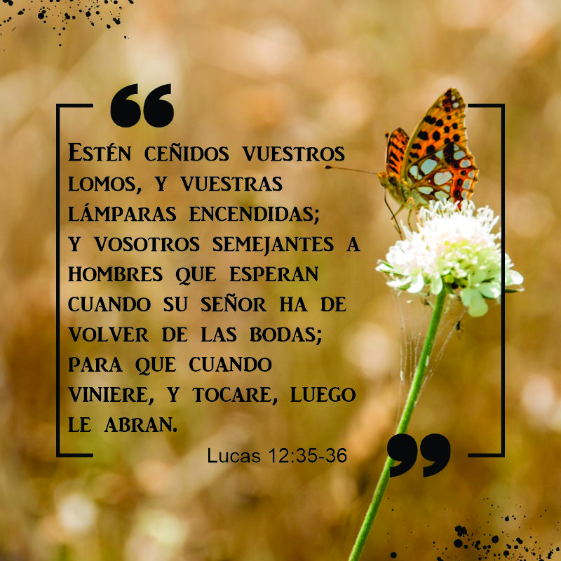 Lucas 12:35-36