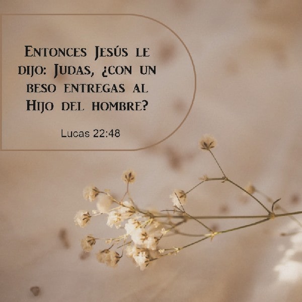 Lucas 22:48