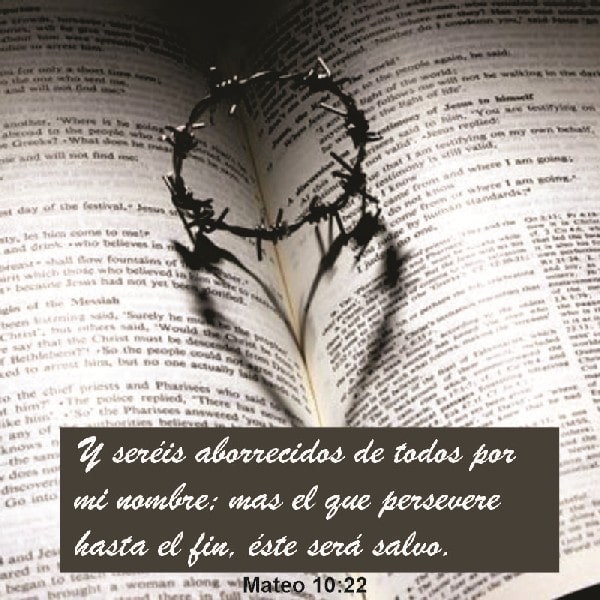 Mateo 10:22