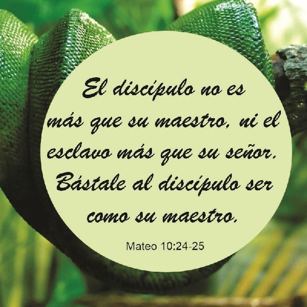 Mateo 10:24-25