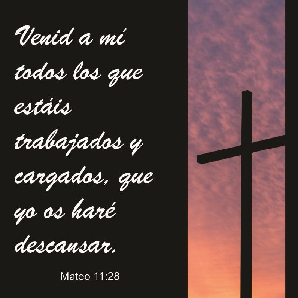 Mateo 11:28