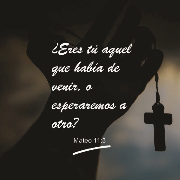 Mateo 11:3