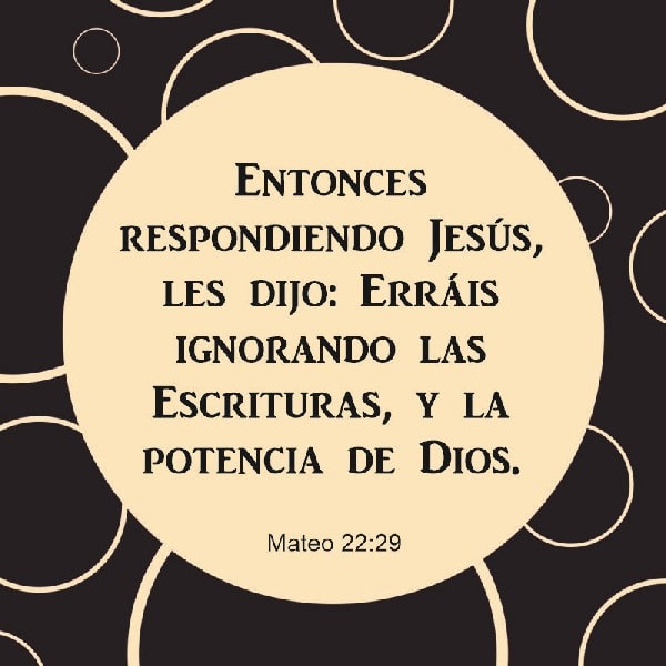 Mateo 22:29