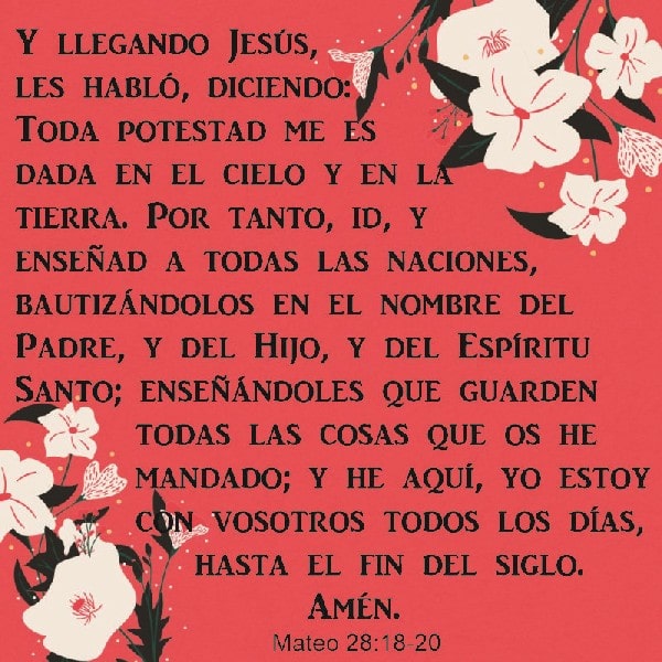 Mateo 28:18-20