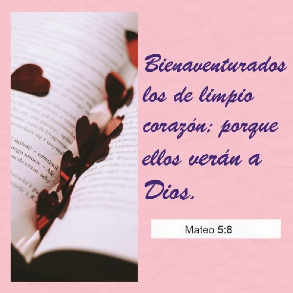 Mateo 5:8