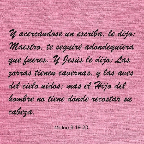 Mateo 8:19-20