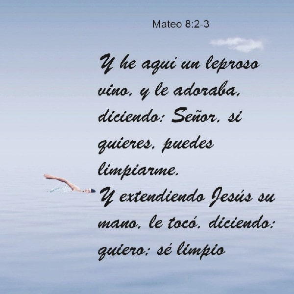 Mateo 8:2-3