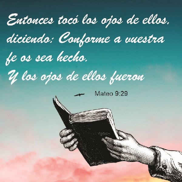 Mateo 9:29