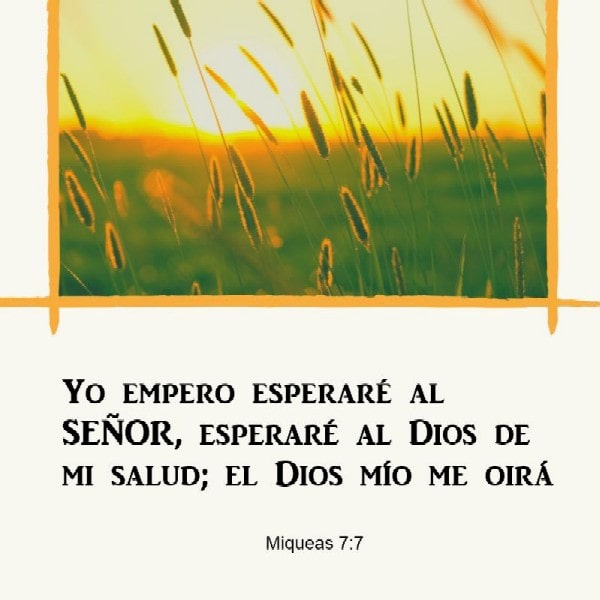 Miqueas 7:7