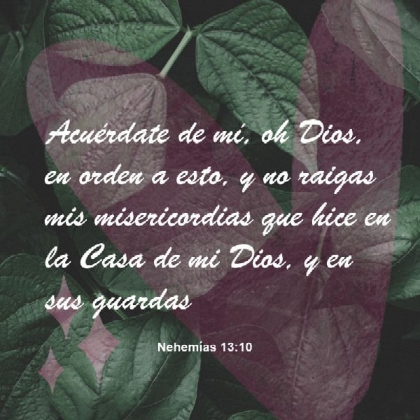 Nehemías 13:14