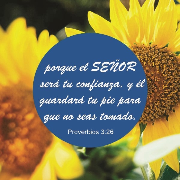 Proverbios 3:26