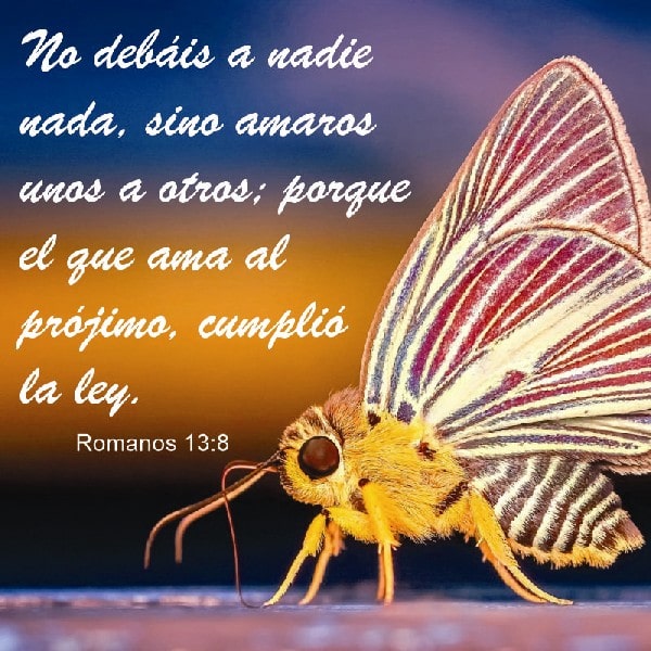 Romanos 13:8