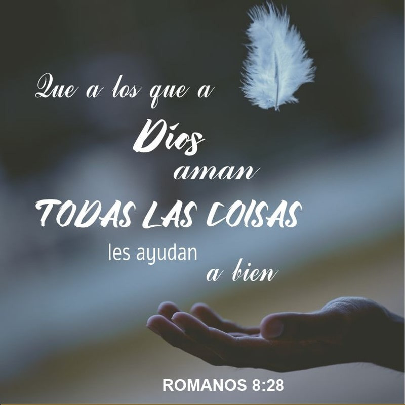 Romanos 8:28