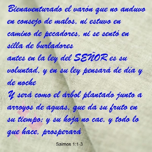 Salmos 11:3