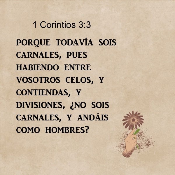 1 Corintios 3:3