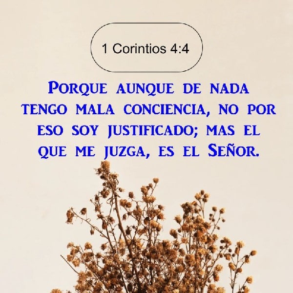 1 Corintios 4:4