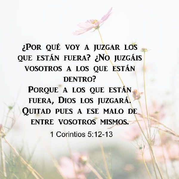 1 Corintios 5:12-13