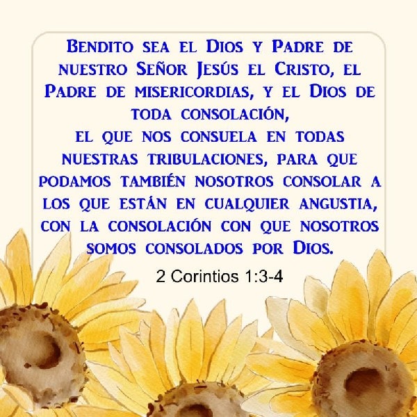 2 Coríntios 1:3-4