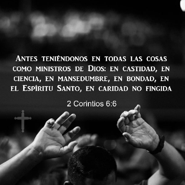 2 Corintios 6:6