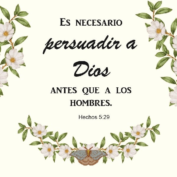 Hechos 5:29