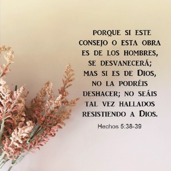 Hechos 5:38