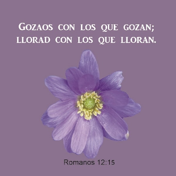 Romanos 12:15