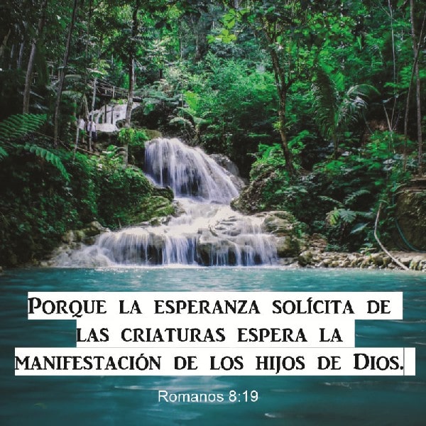 Romanos 8:19