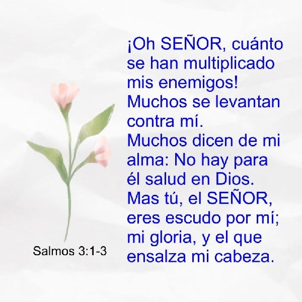 Salmos 3:1-3