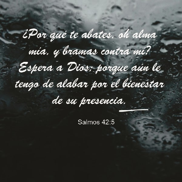 Salmo 42:5