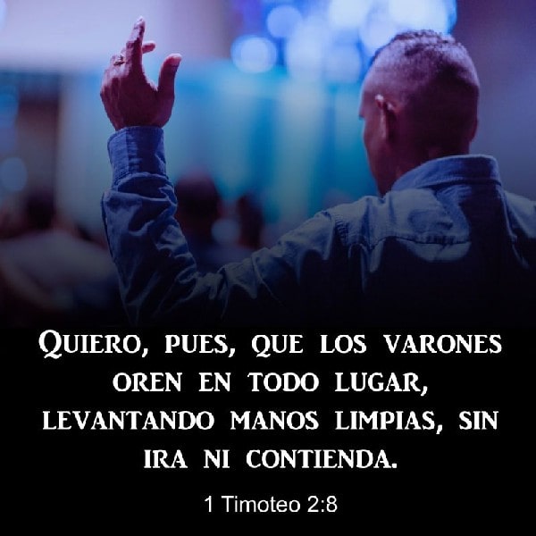 1 Timoteo 2:8