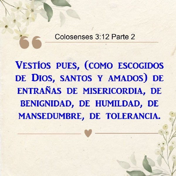 Colosenses 3:12 Parte 2