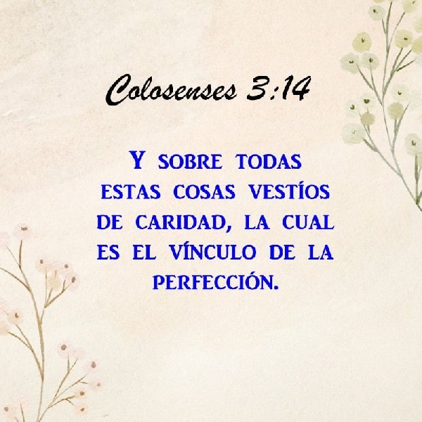 Colosenses 3:14