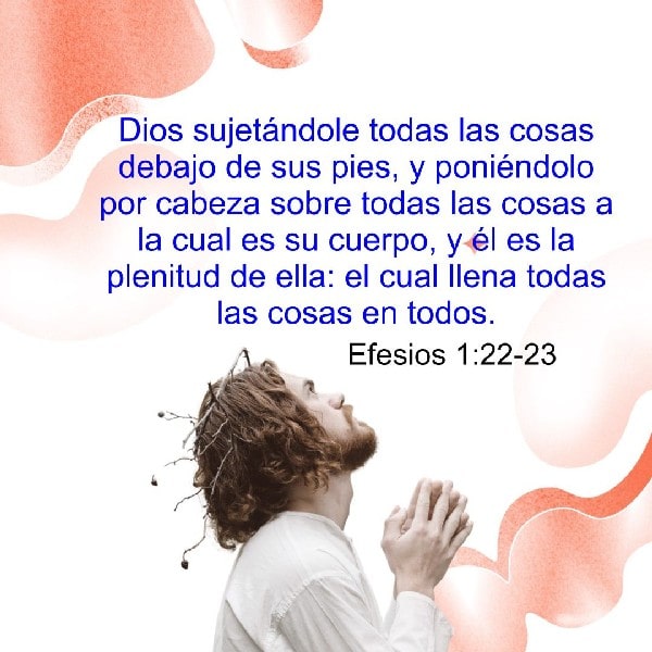 Efesios 1:22-23