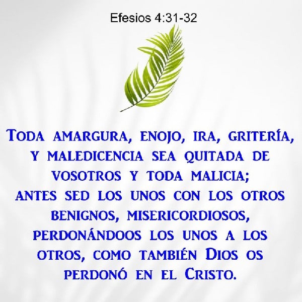 Efesios 4:31-32