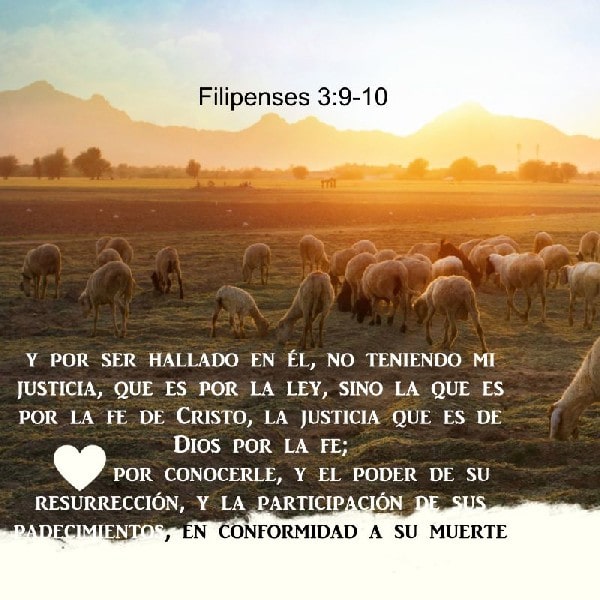 Filipenses 3:9