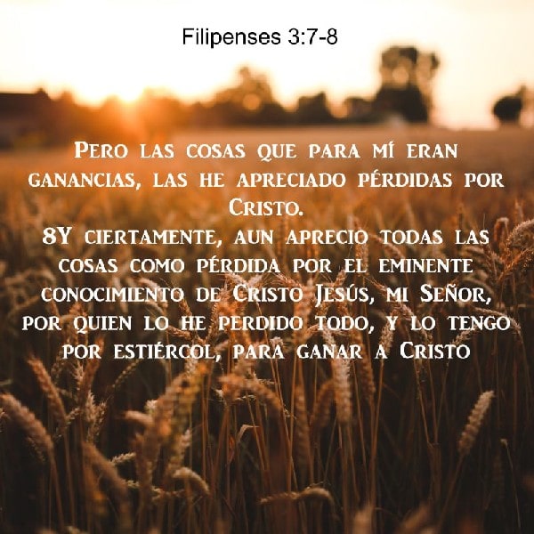 Filipenses 3:7-8