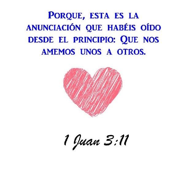 1 Juan 3:11