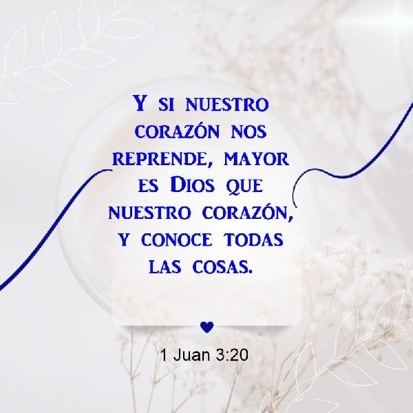 1 Juan 3:20