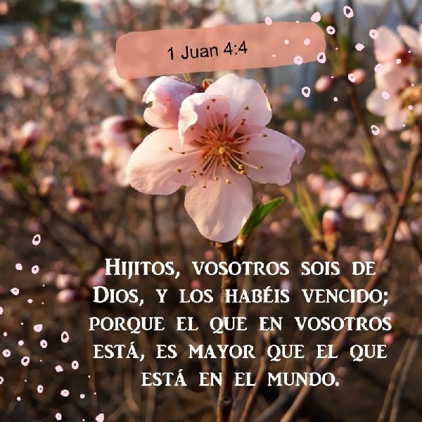 1 Juan 4:4