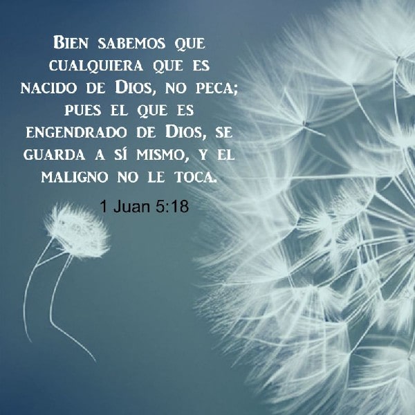 1 Juan 5:18
