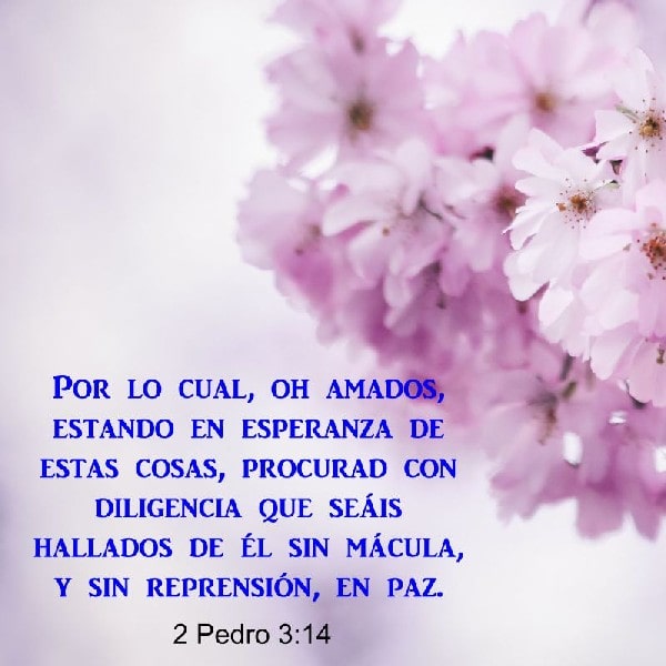 2 Pedro 3:14