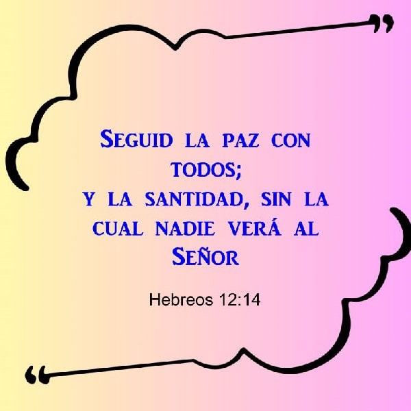 Hebreos 12:14