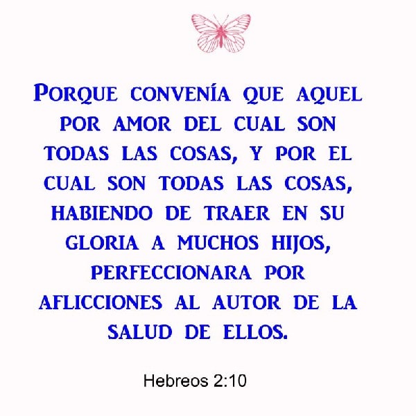 Hebreos 2:10