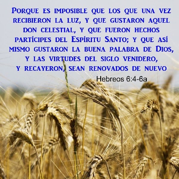 Hebreos 6:4-6a